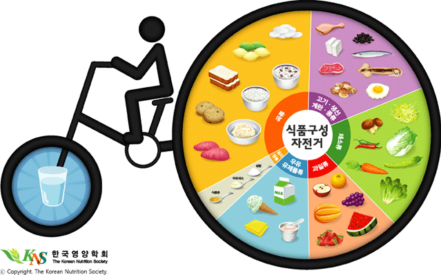 한국영양학회 식품구성자전거 이미지